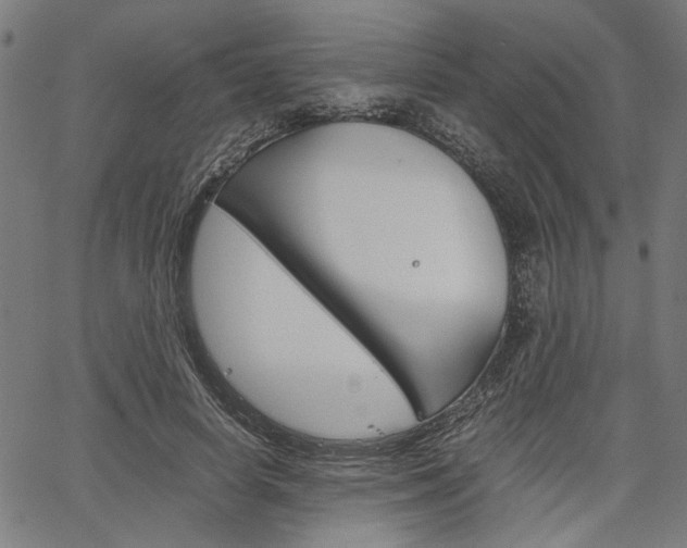 X0000067520642200604071025