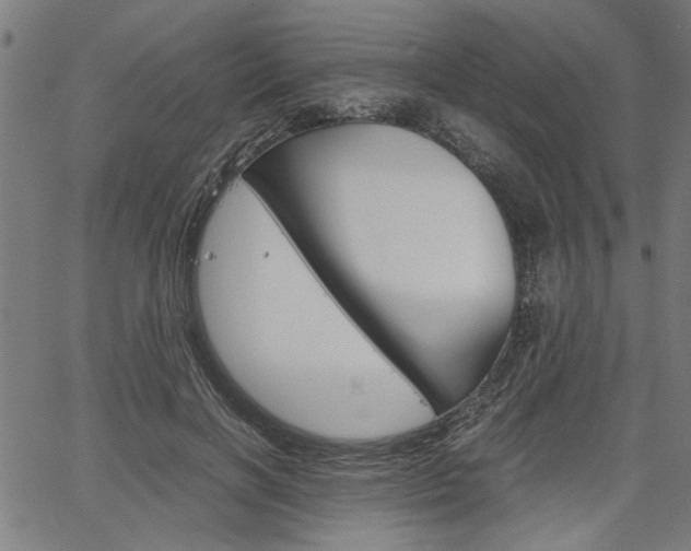 X0000067520646200604071025