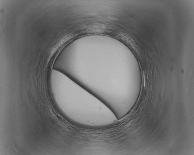 X0000067520675200604071025