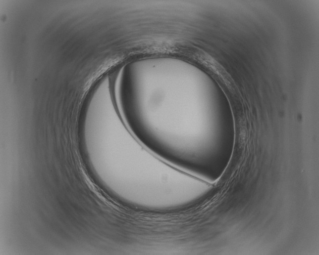 X0000067520677200604071025