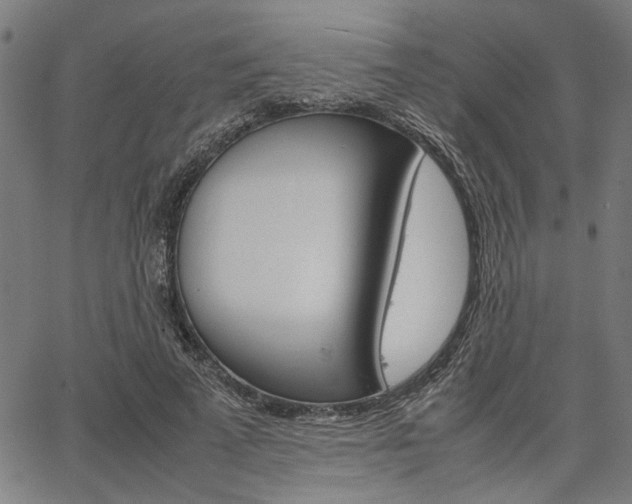 X0000067520689200604071024