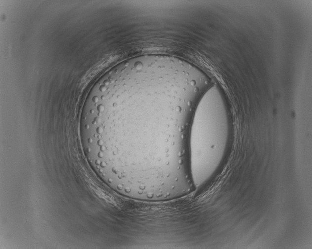 X0000067520721200604071023