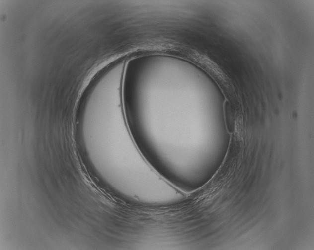 X0000067520724200604071023
