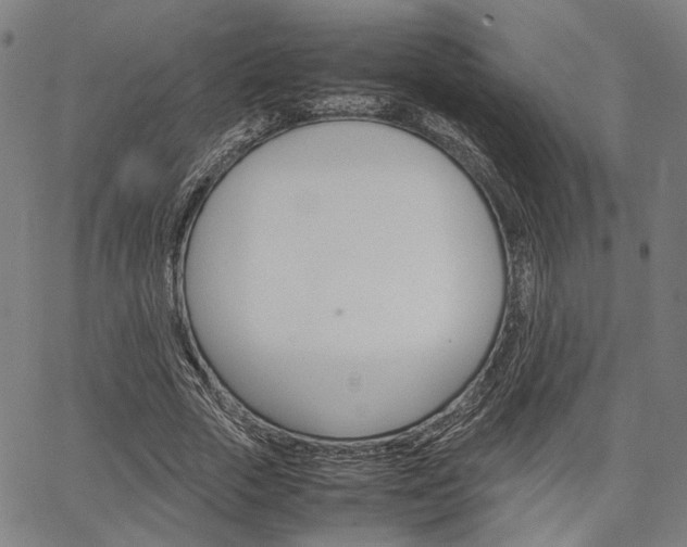 X0000067520729200604071023