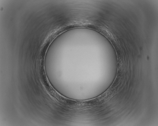 X0000067520736200604071023