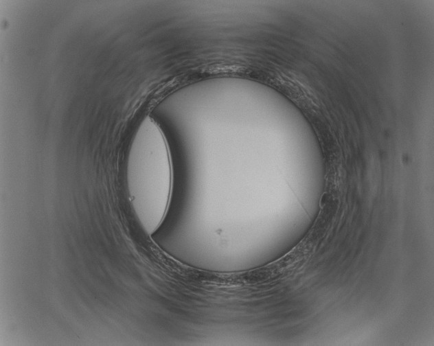 X0000067520743200604071024