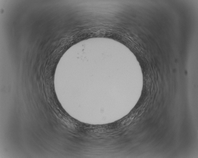 X0000067520769200604071023