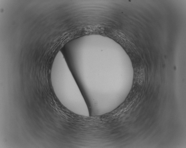 X0000067520770200604071023