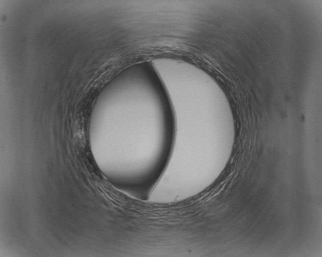 X0000067520771200604071023