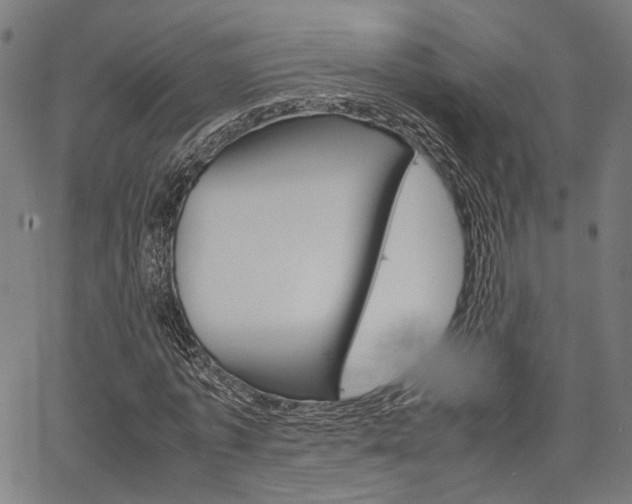 X0000067520773200604071023