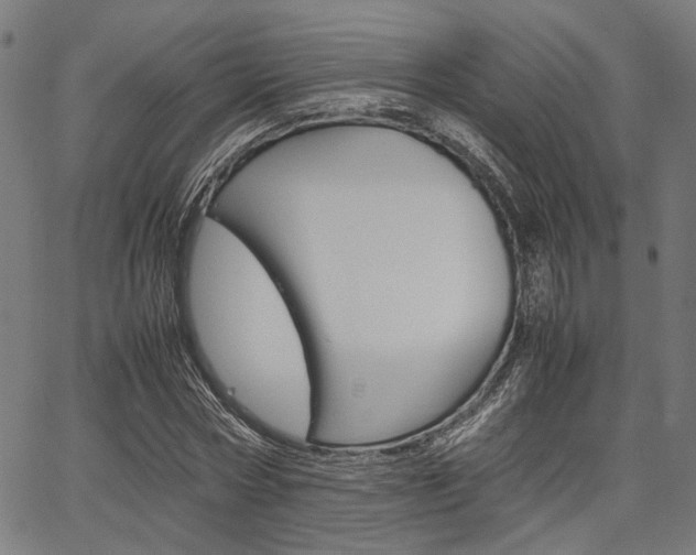 X0000067520778200604071023