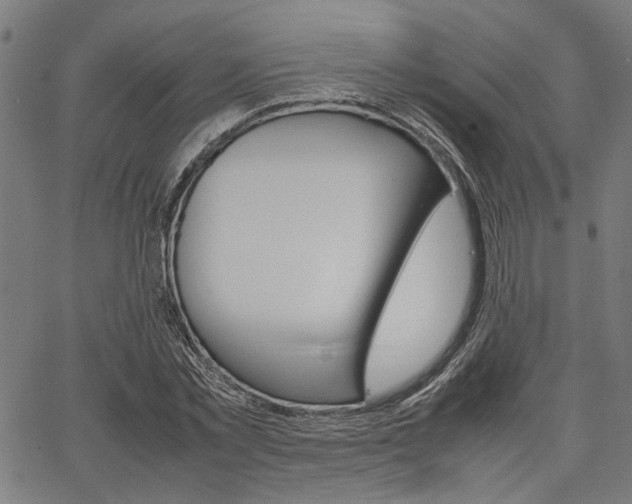 X0000067520781200604071023