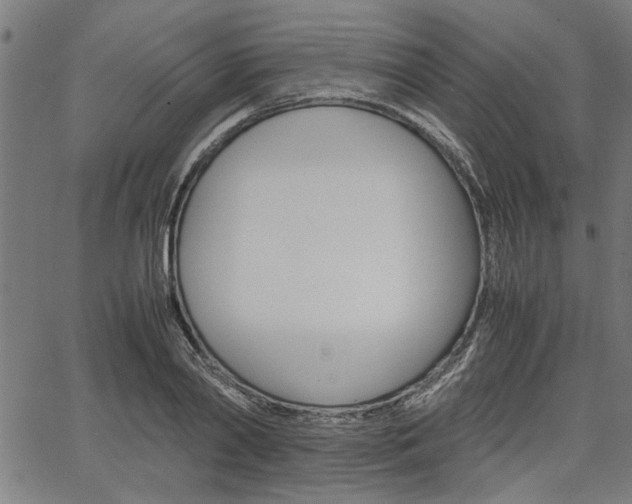 X0000067520790200604071023