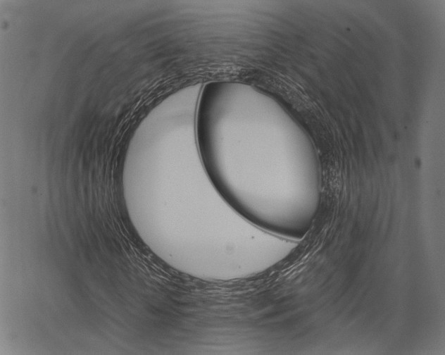 X0000067520818200604071022