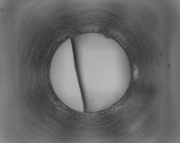 X0000067520819200604071022