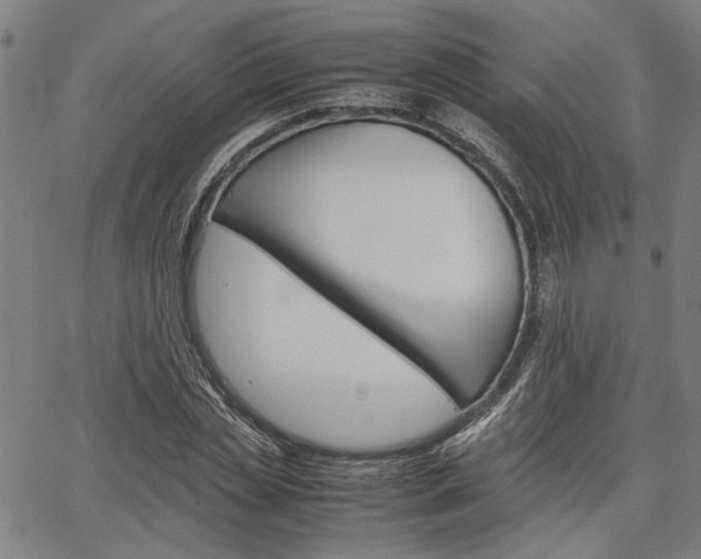 X0000067520829200604071022