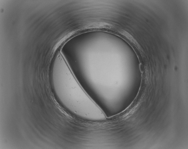 X0000067520834200604071022