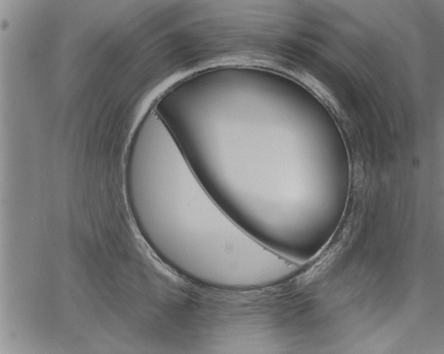 X0000067520854200604071022