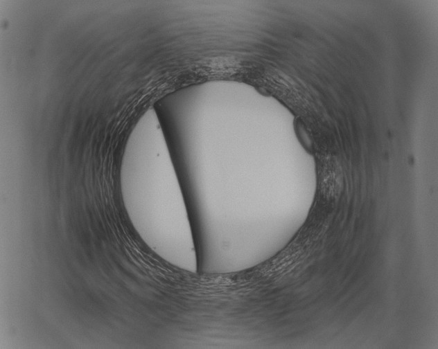 X0000067520866200604071022