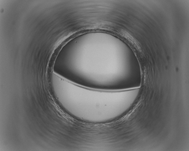 X0000067520876200604071021
