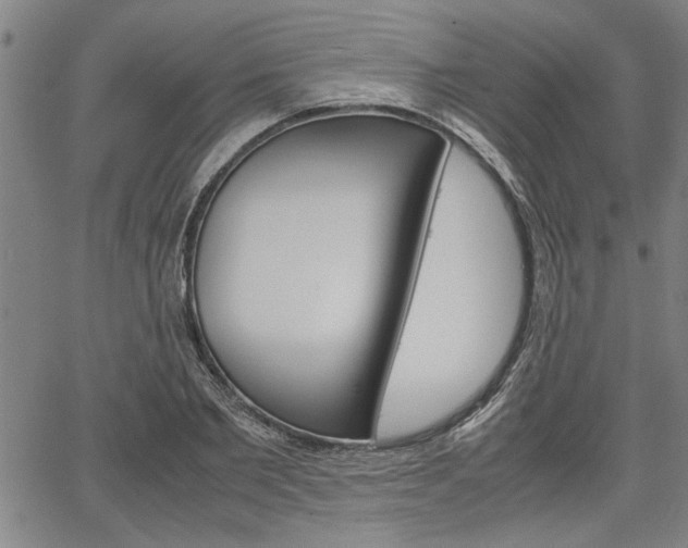 X0000067520885200604071021