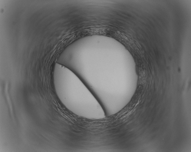 X0000067520913200604071020