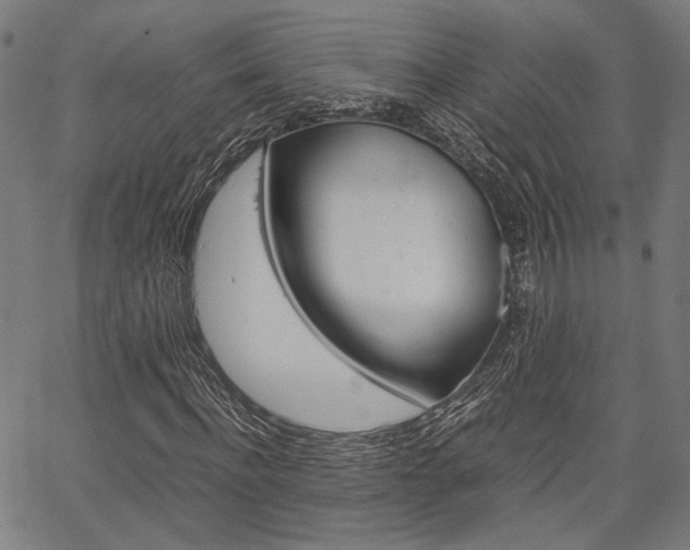 X0000067520916200604071020