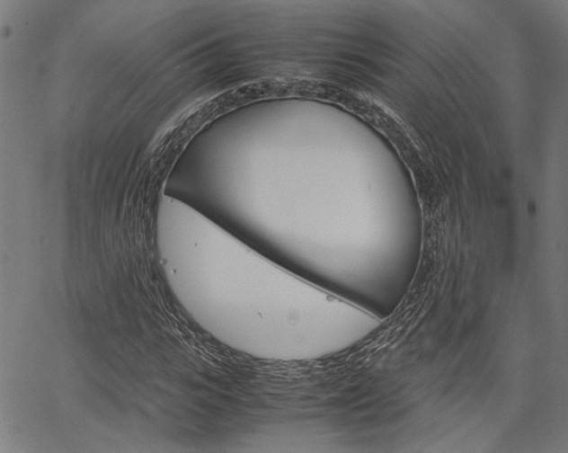 X0000067520919200604071020