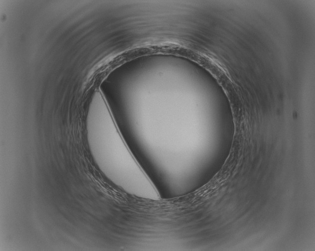 X0000067520920200604071020