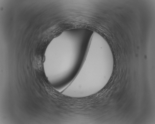 X0000067520963200604071020