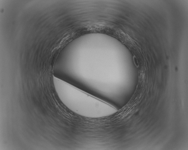 X0000067521012200604071019