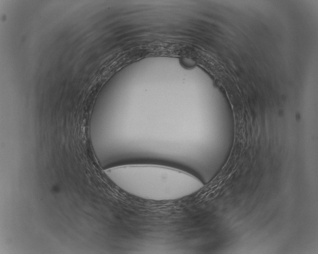 X0000067521013200604071019