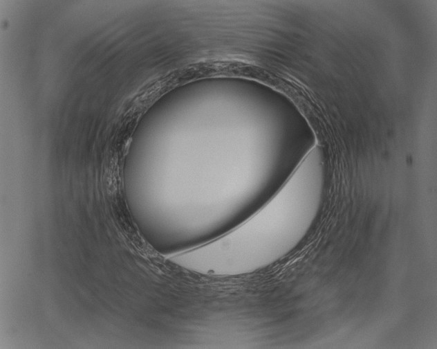 X0000067521014200604071019