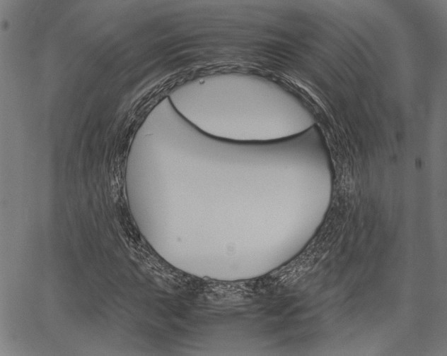 X0000067521015200604071019