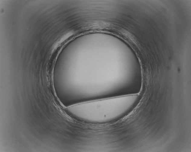 X0000067521018200604071019