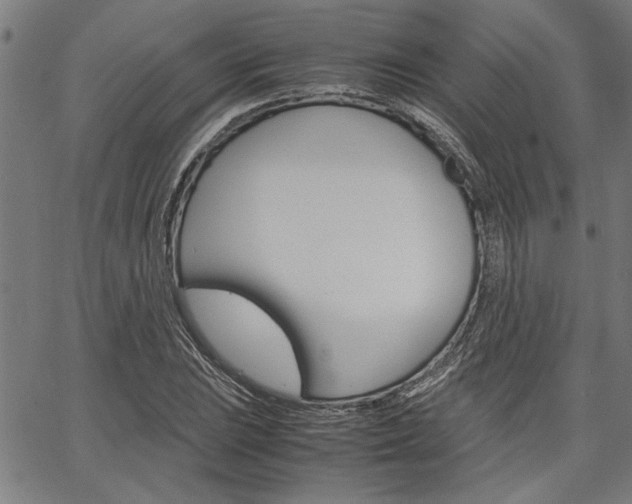 X0000067521023200604071019