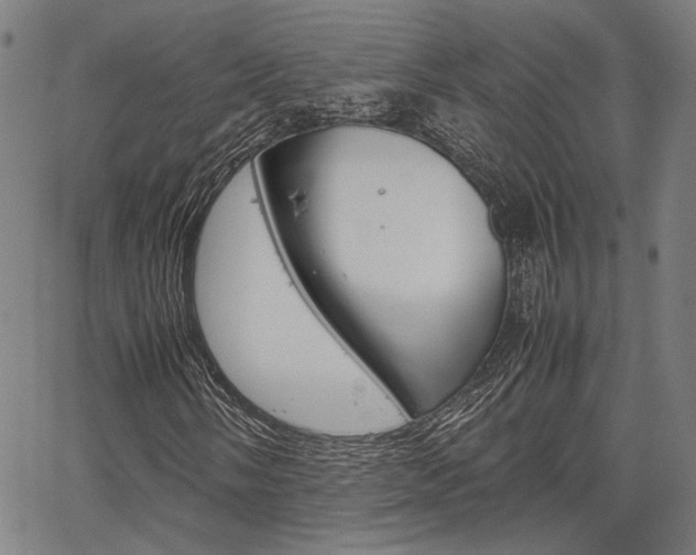 X0000067521058200604071018