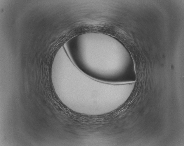 X0000067521061200604071018