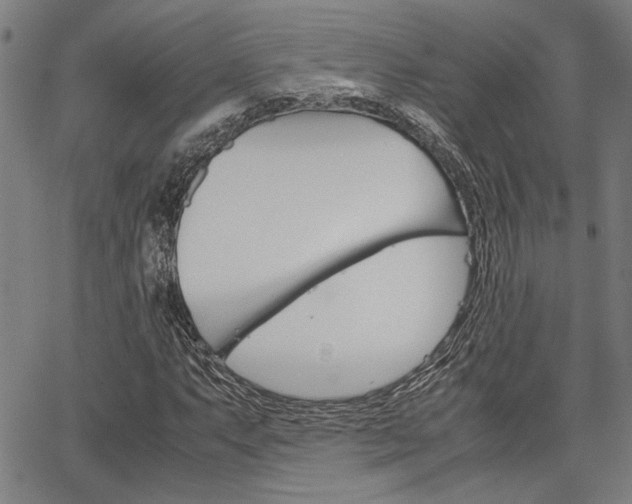 X0000067521063200604071018