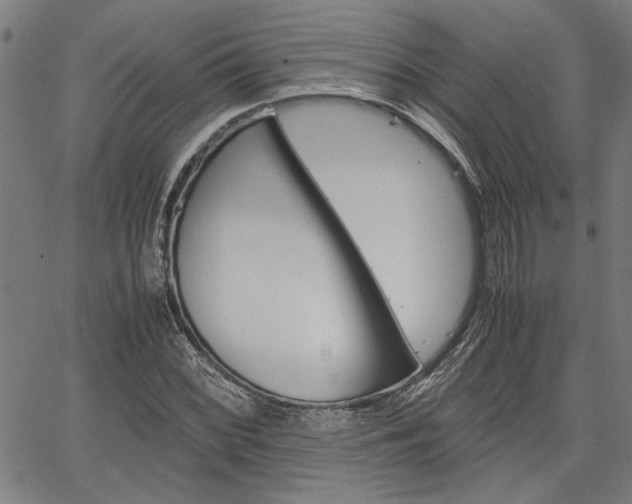 X0000067521068200604071018