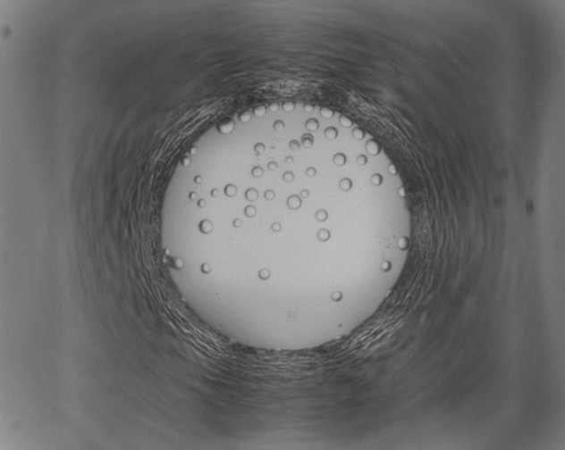 X0000067521105200604071017