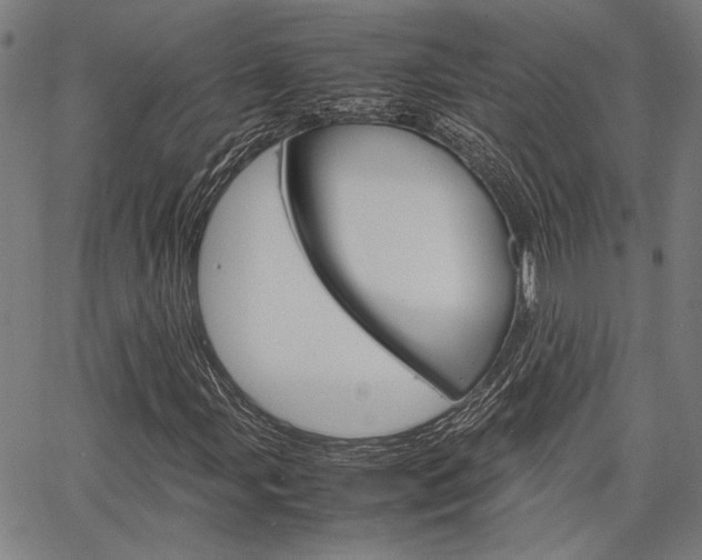X0000067521107200604071017