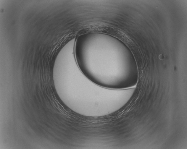 X0000067521108200604071017