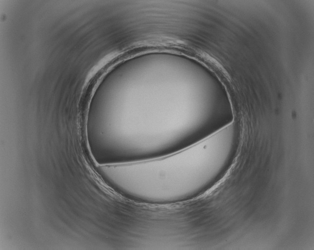 X0000067521114200604071017