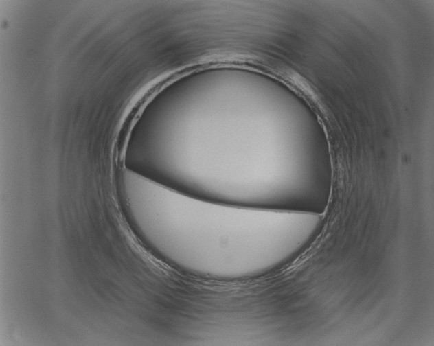 X0000067521124200604071017