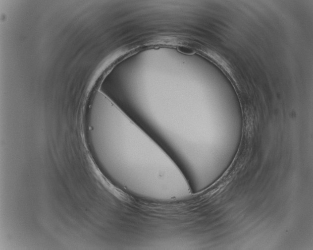 X0000067521131200604071017