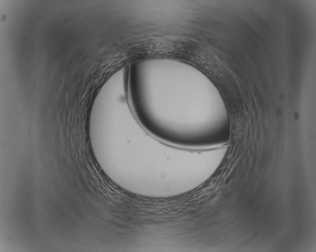 X0000067521153200604071017