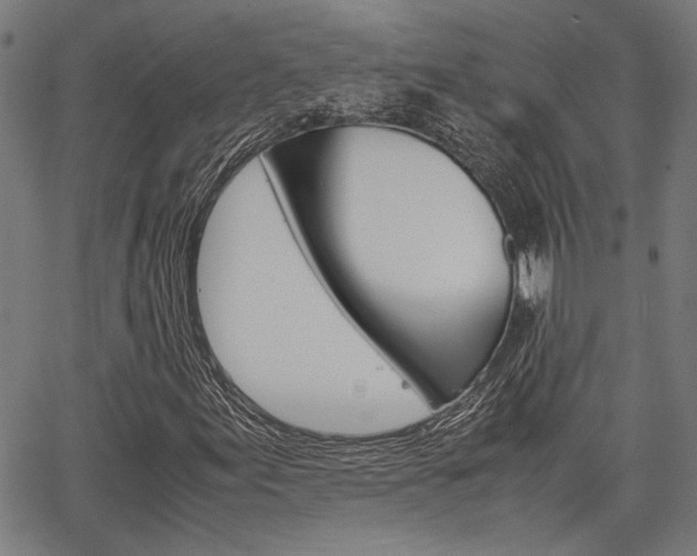 X0000067521155200604071017