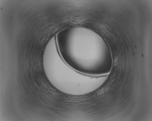 X0000067521156200604071017