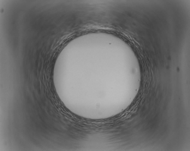 X0000067521157200604071017